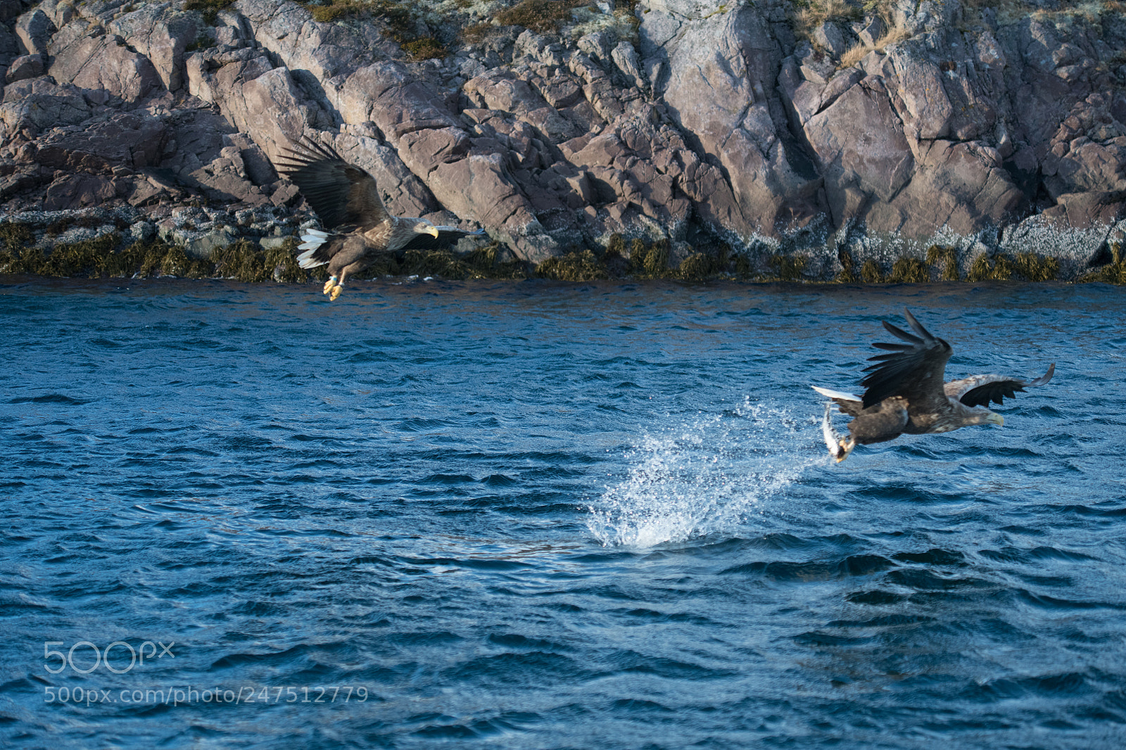 Nikon D850 sample photo. Lofoten photography