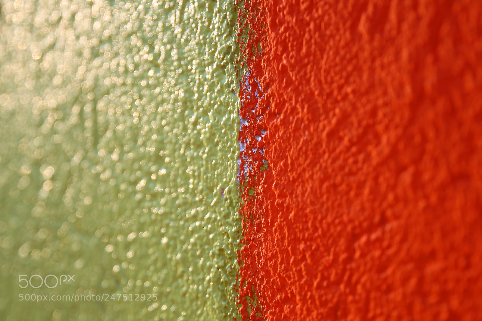 Canon EOS-1D Mark IV sample photo. Focusing my thoughts photography