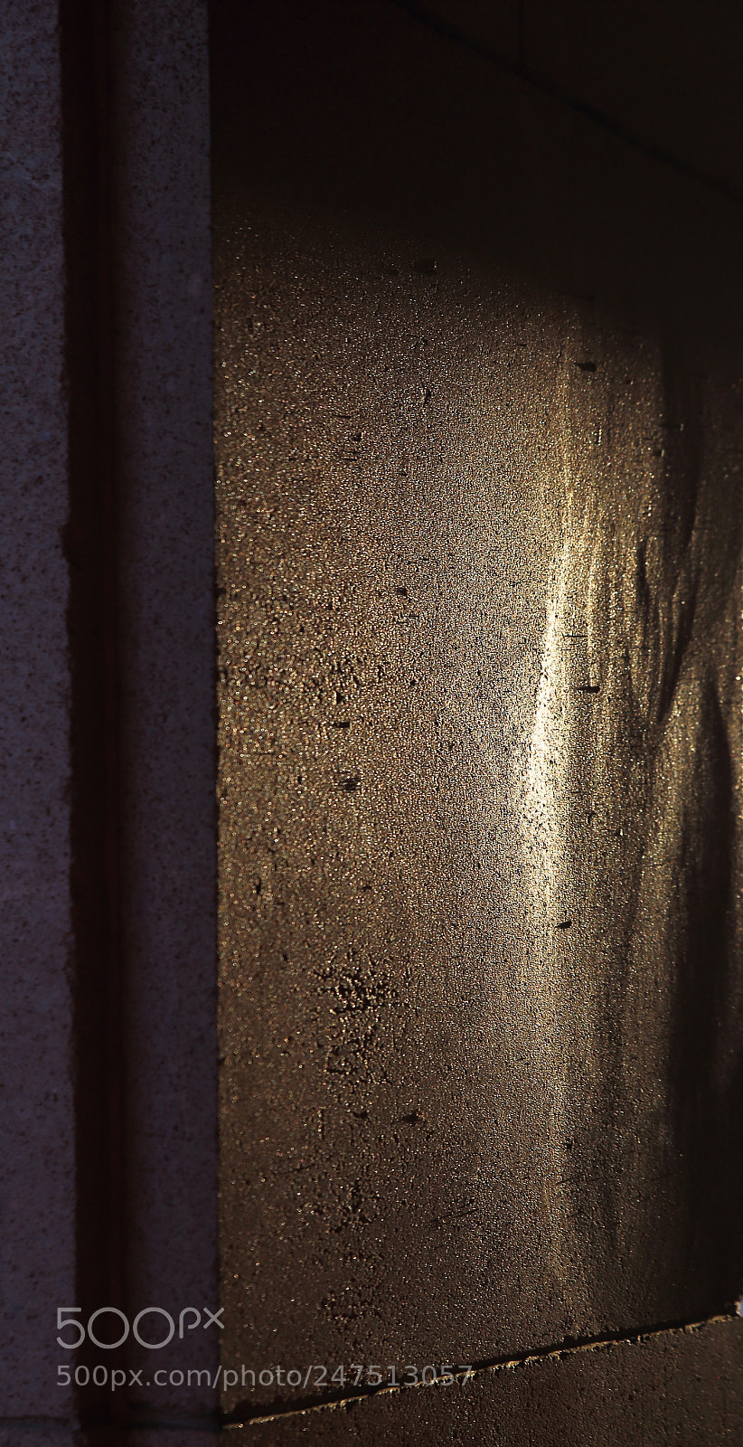 Canon EOS-1D Mark IV sample photo. Scars photography