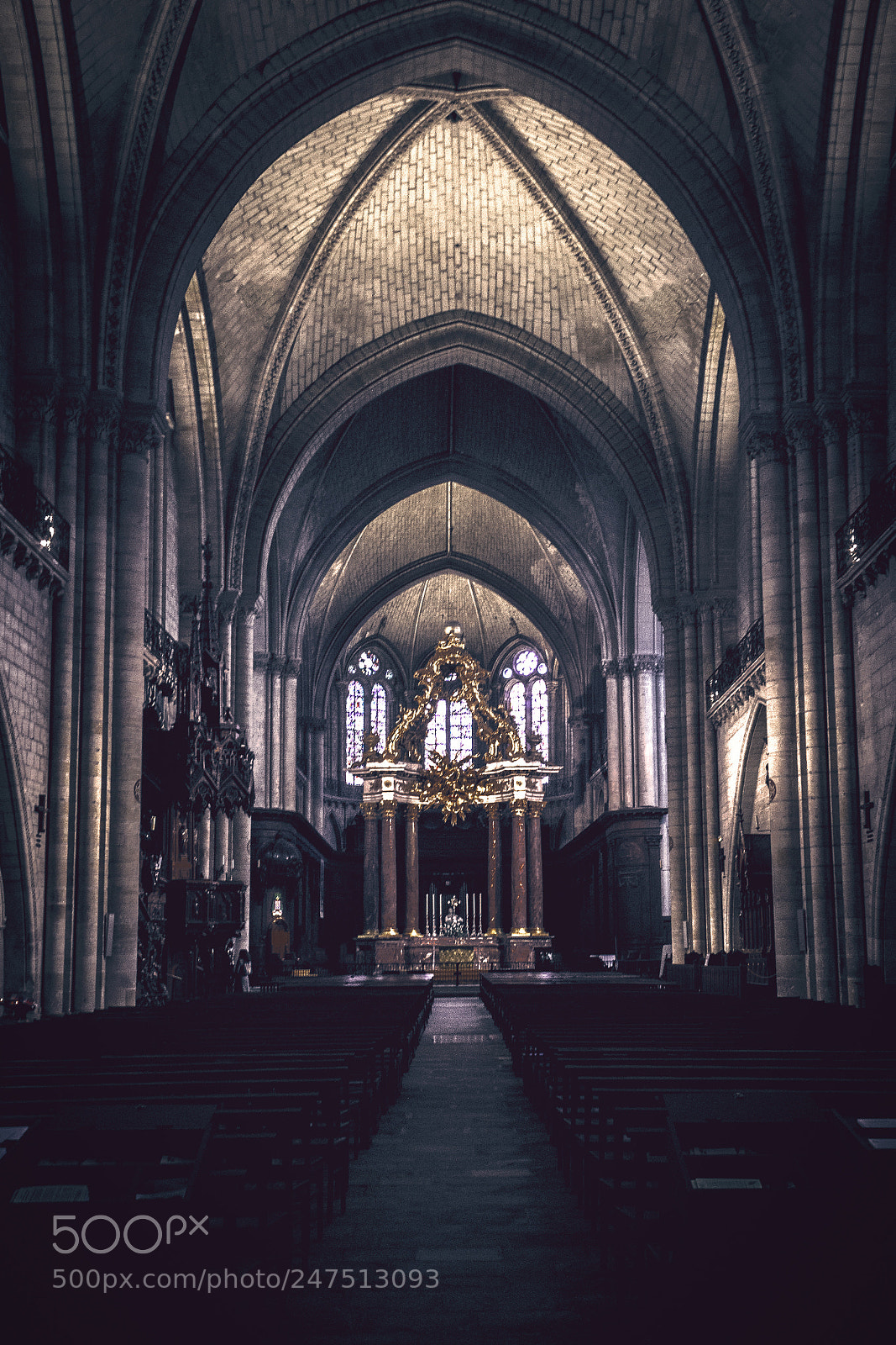 Canon EOS 70D sample photo. Cathédral angers 2018 photography