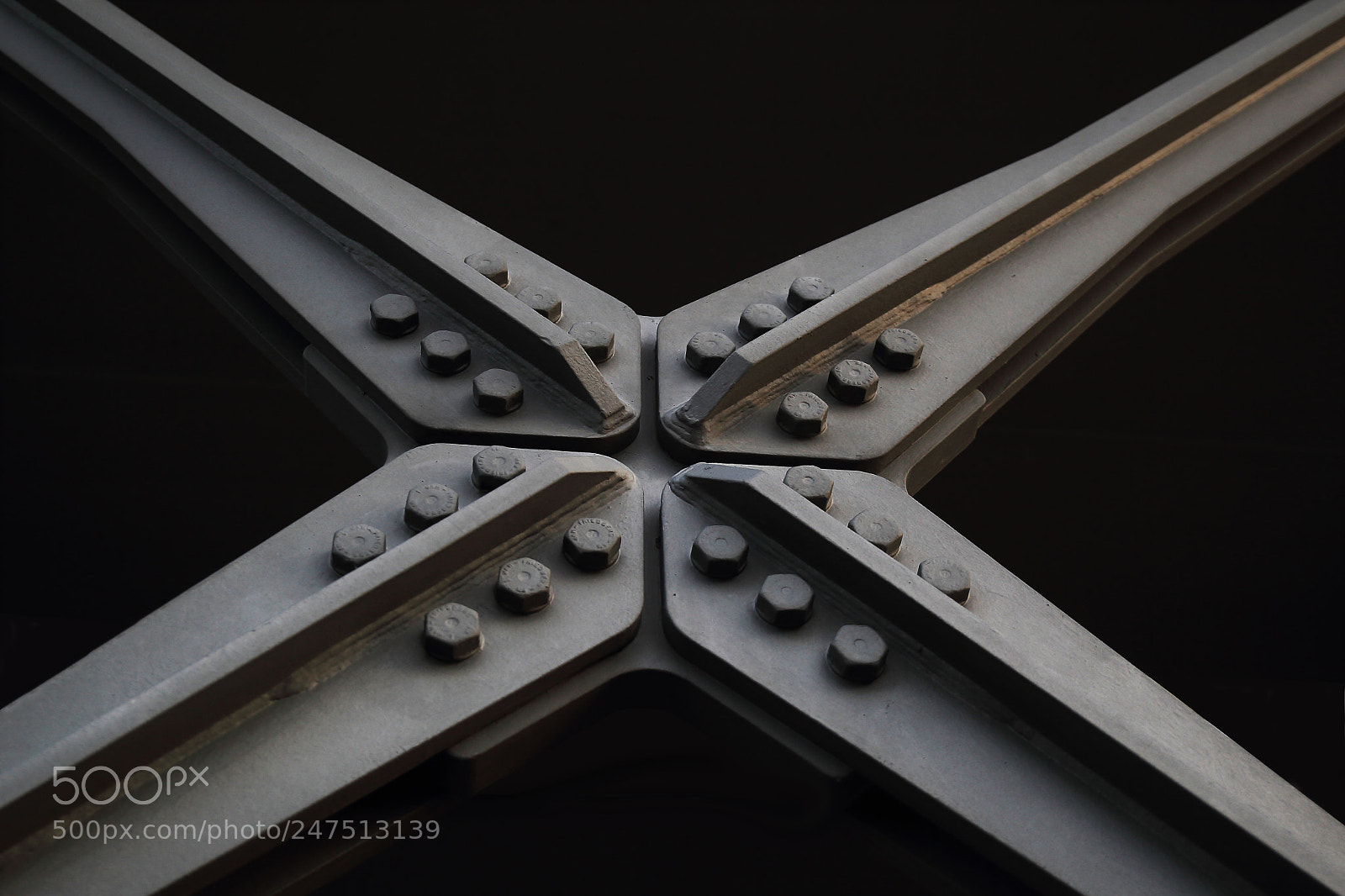 Canon EOS-1D Mark IV sample photo. Edelweiss photography