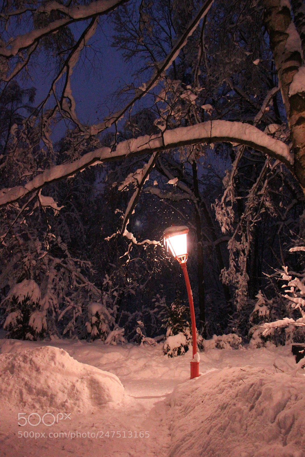 Canon EOS 550D (EOS Rebel T2i / EOS Kiss X4) sample photo. Lonely lantern photography