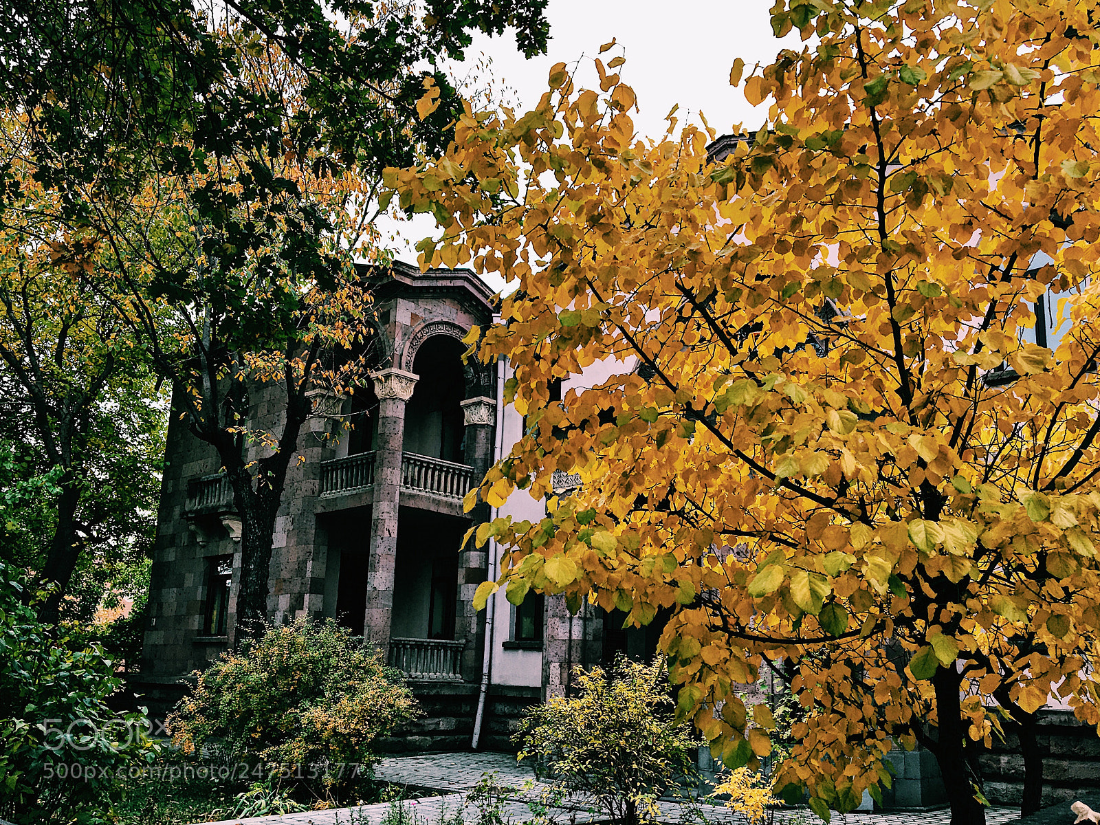 Apple iPhone 6s sample photo. Gold autumn photography