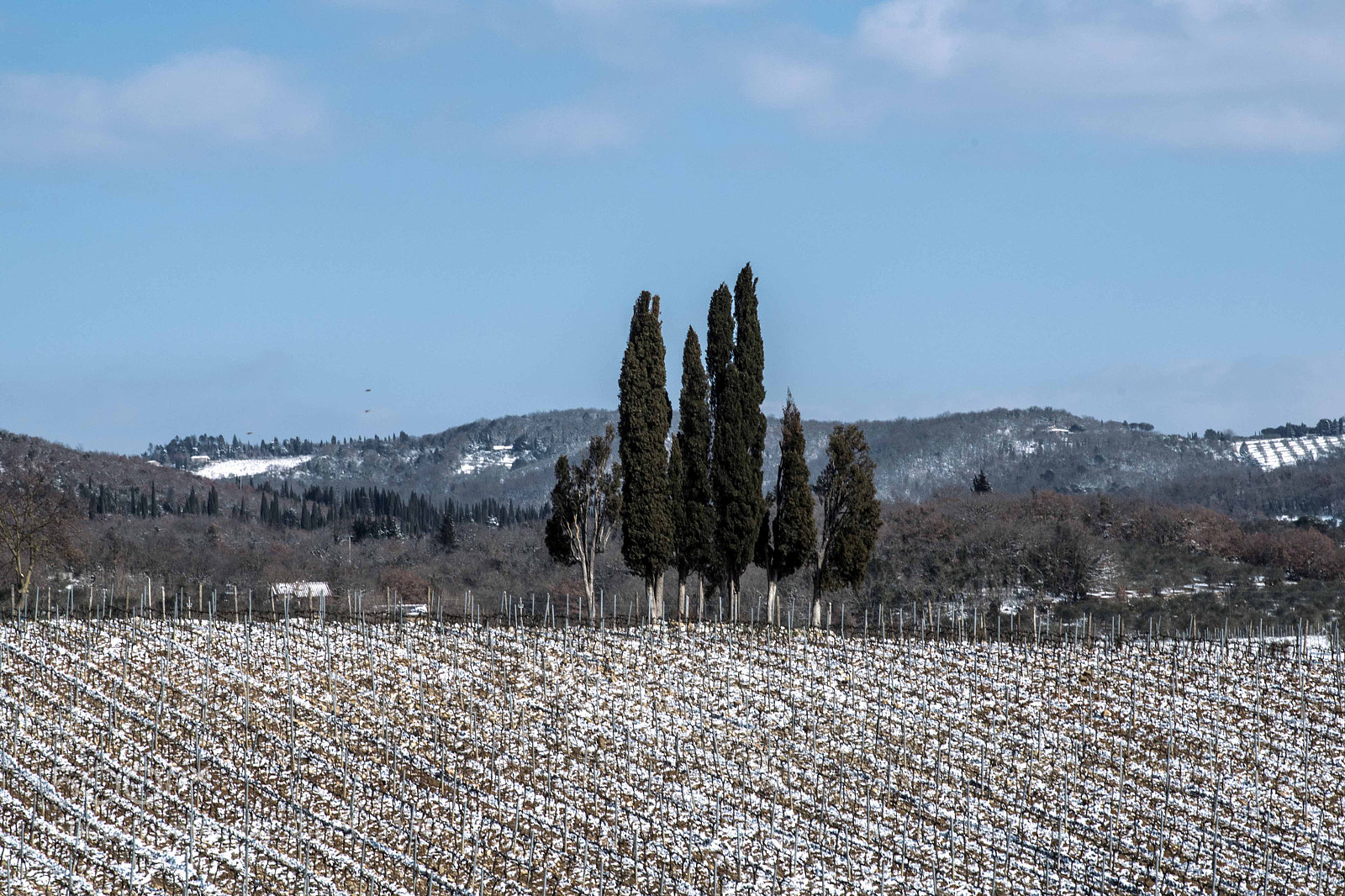 Pentax K-1 sample photo. San leonino photography