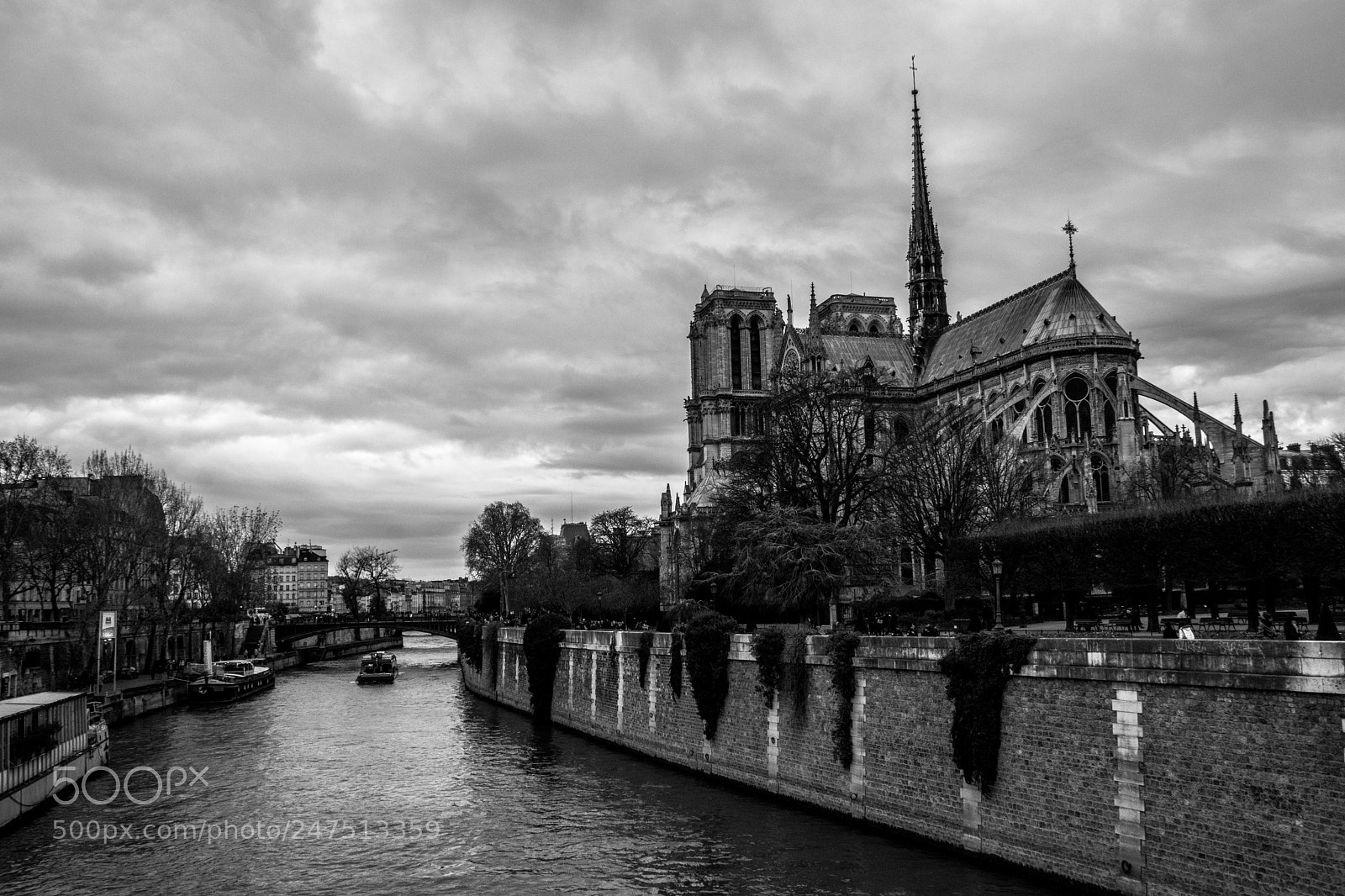 Sony SLT-A65 (SLT-A65V) sample photo. Notre de dame de photography