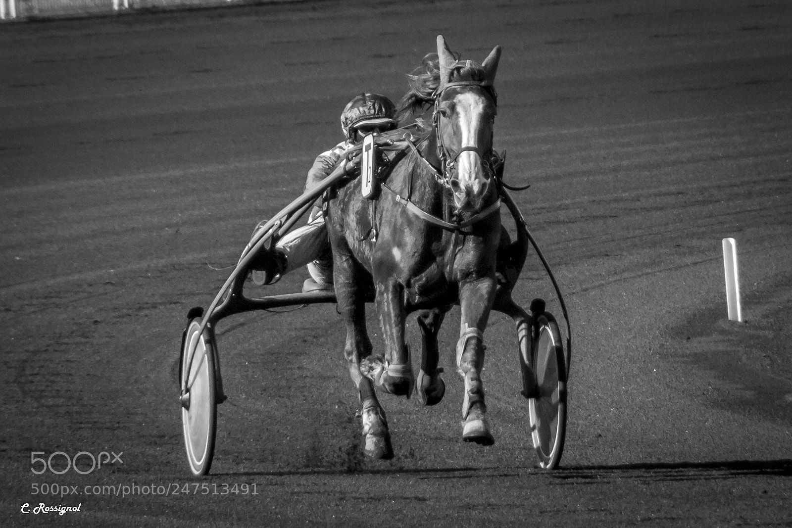 Sony SLT-A65 (SLT-A65V) sample photo. Horse race - vincennes photography