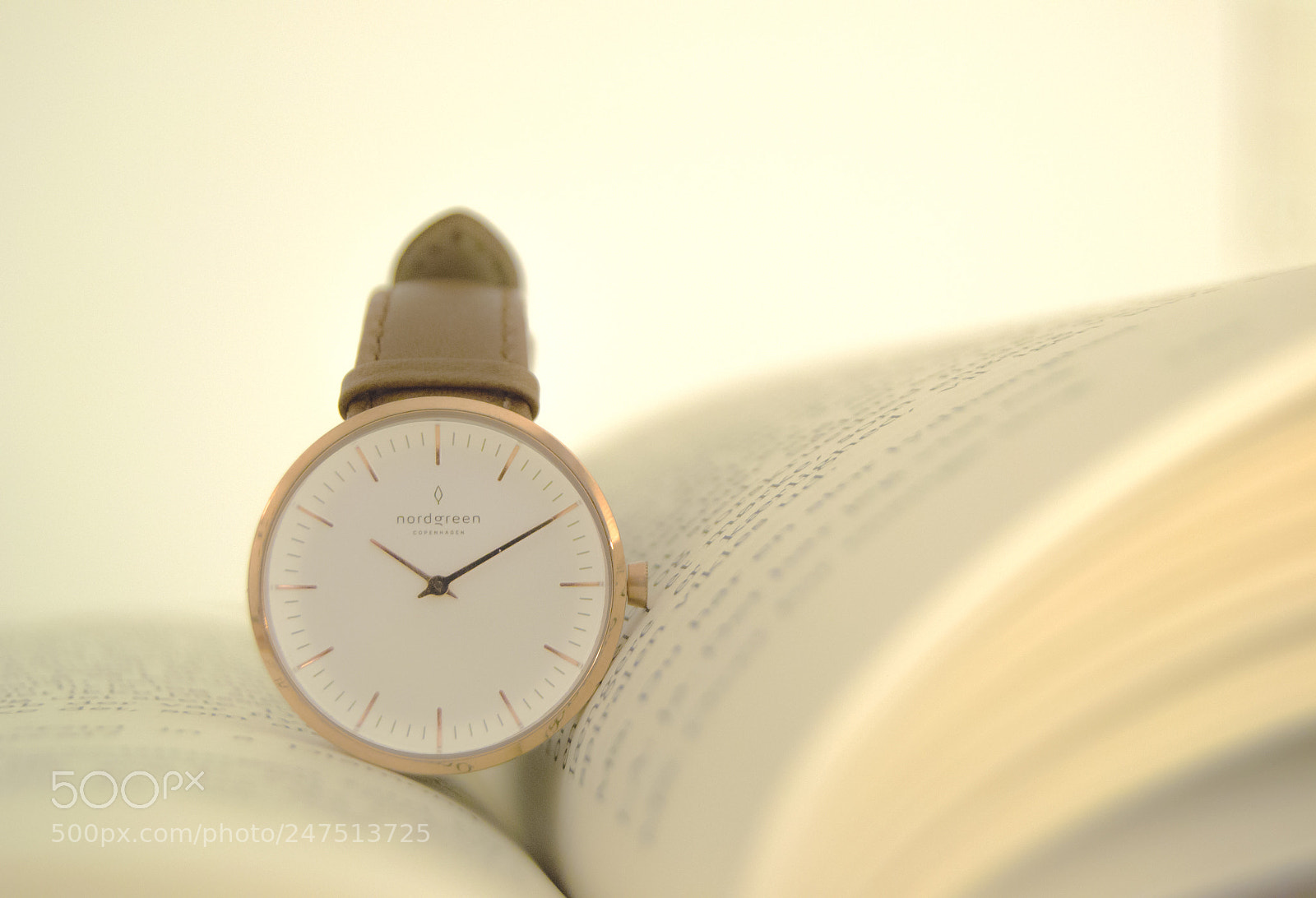 Nikon D3100 sample photo. Infinity photography