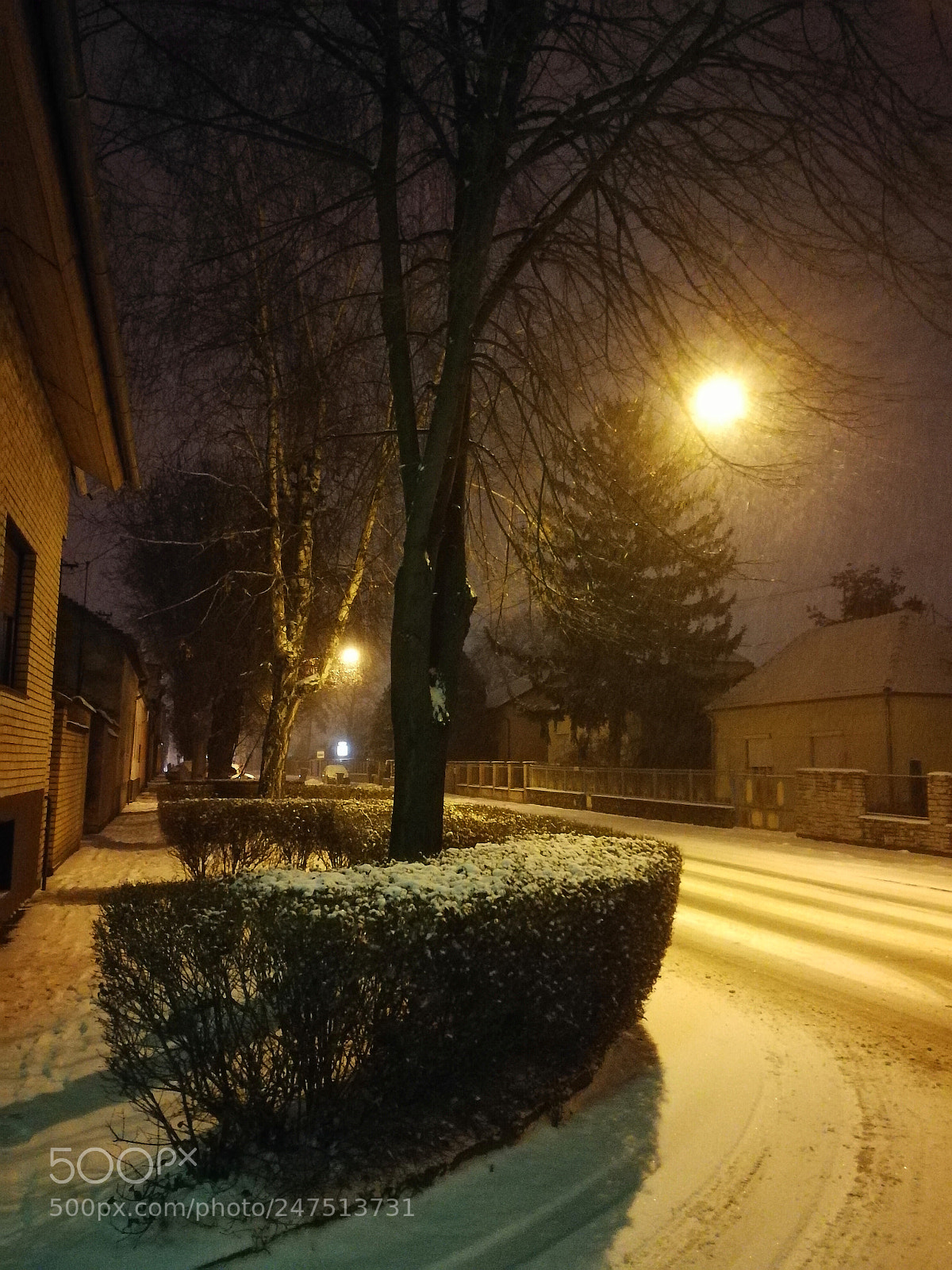 HUAWEI P10 sample photo. Let it snow photography