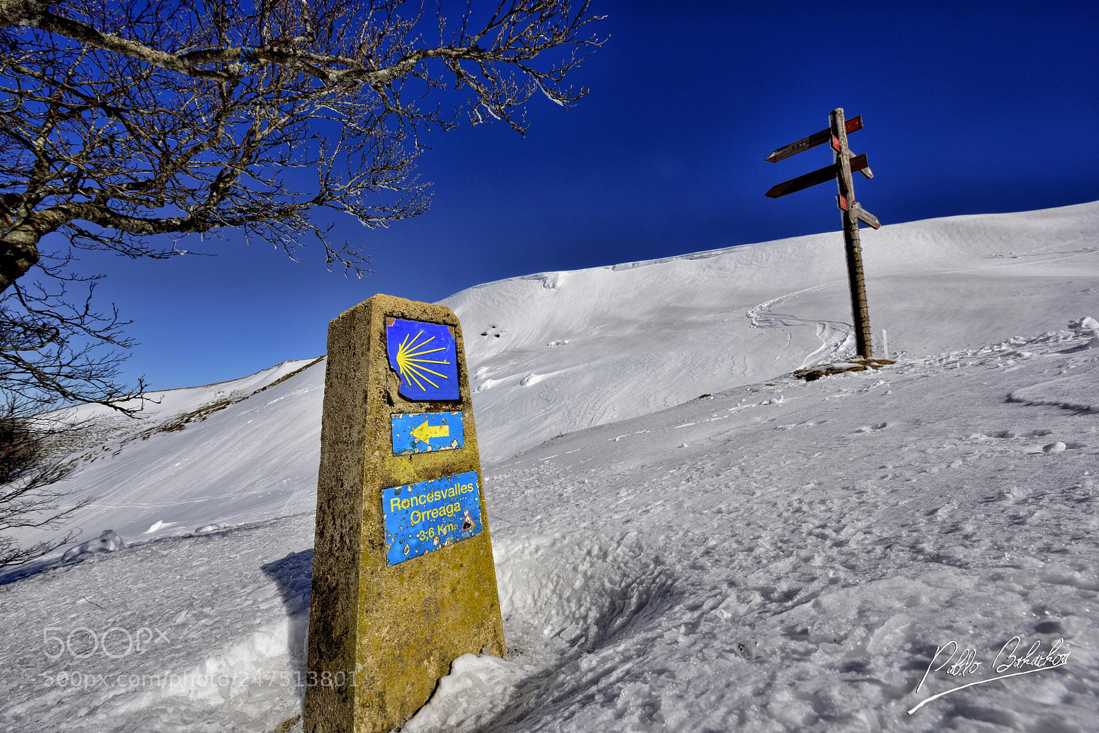 Nikon D810 sample photo. Roncesvalles orreaga photography
