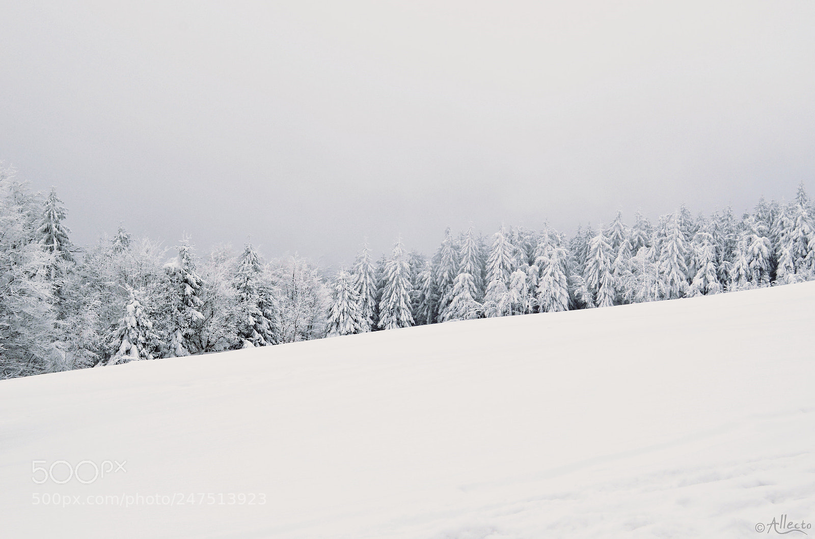 Nikon D5100 sample photo. Mountains forest photography