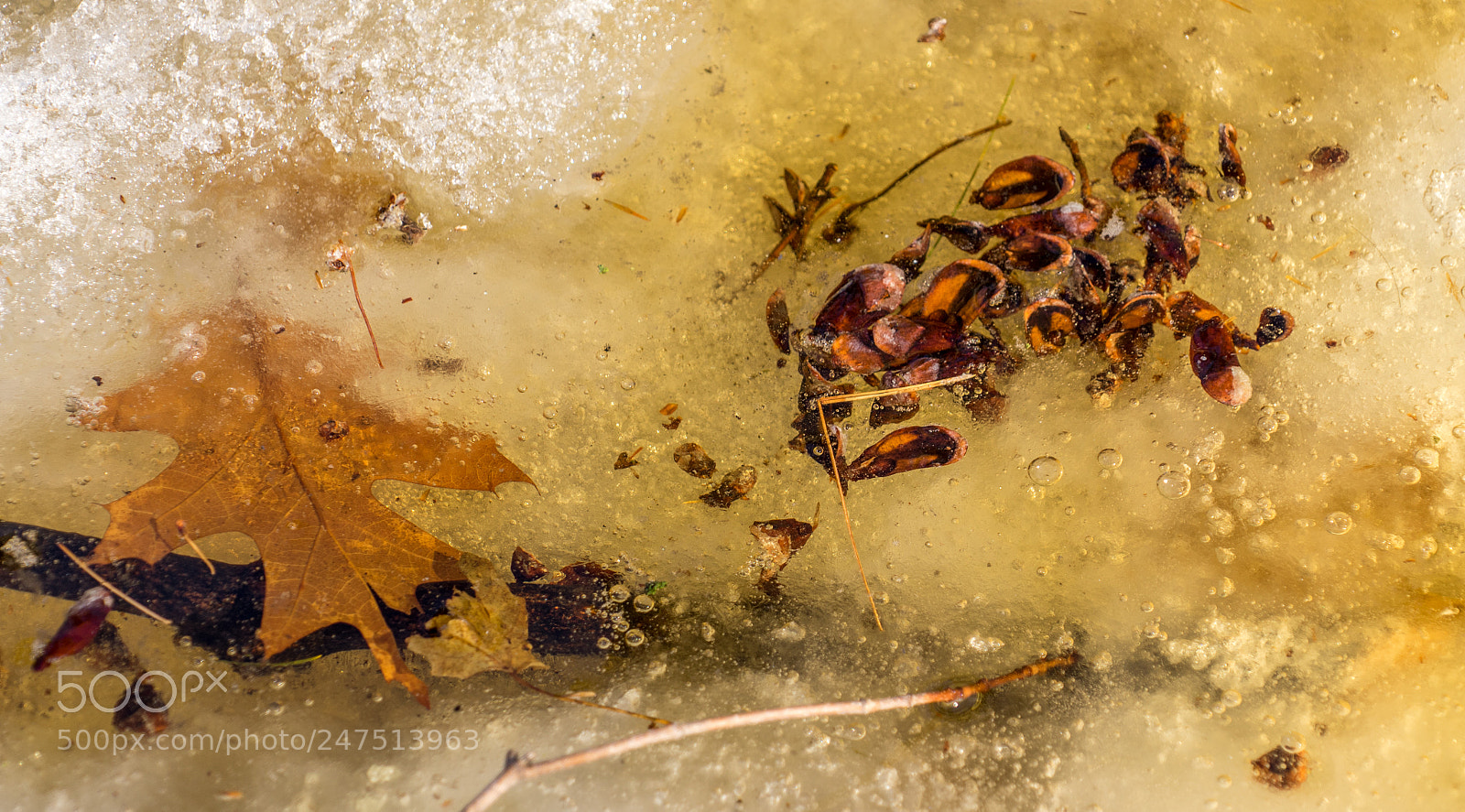 Sony a7 II sample photo. Frozen in time photography