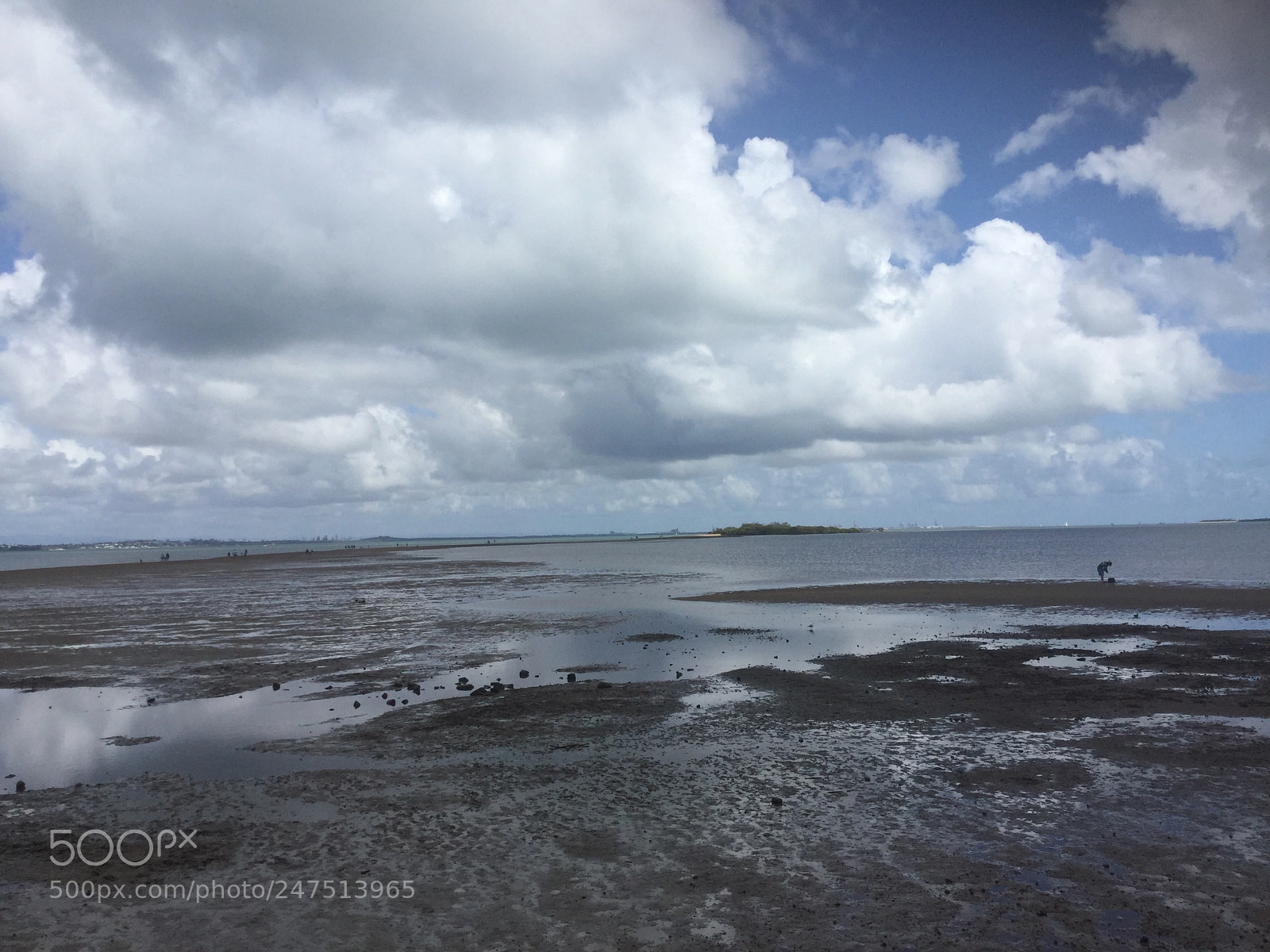 Apple iPad Air 2 sample photo. Mud flats at wellington photography