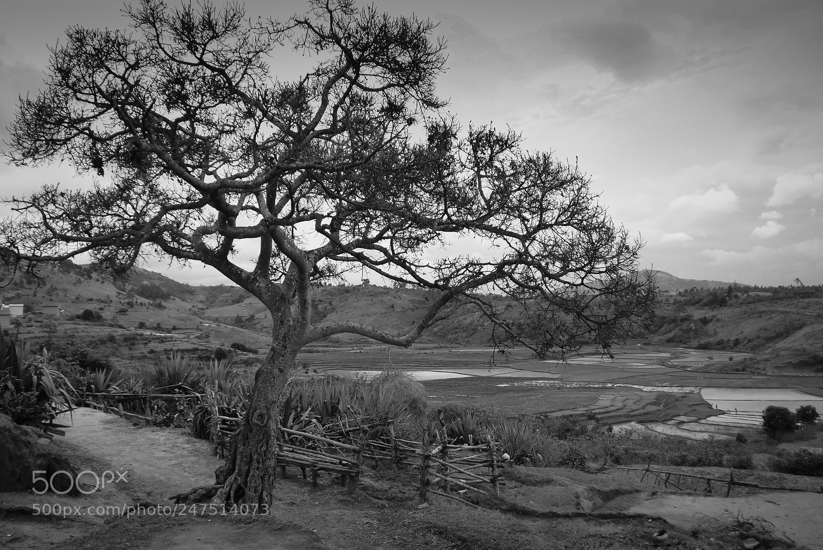 Sony SLT-A65 (SLT-A65V) sample photo. Malagasy landscape photography
