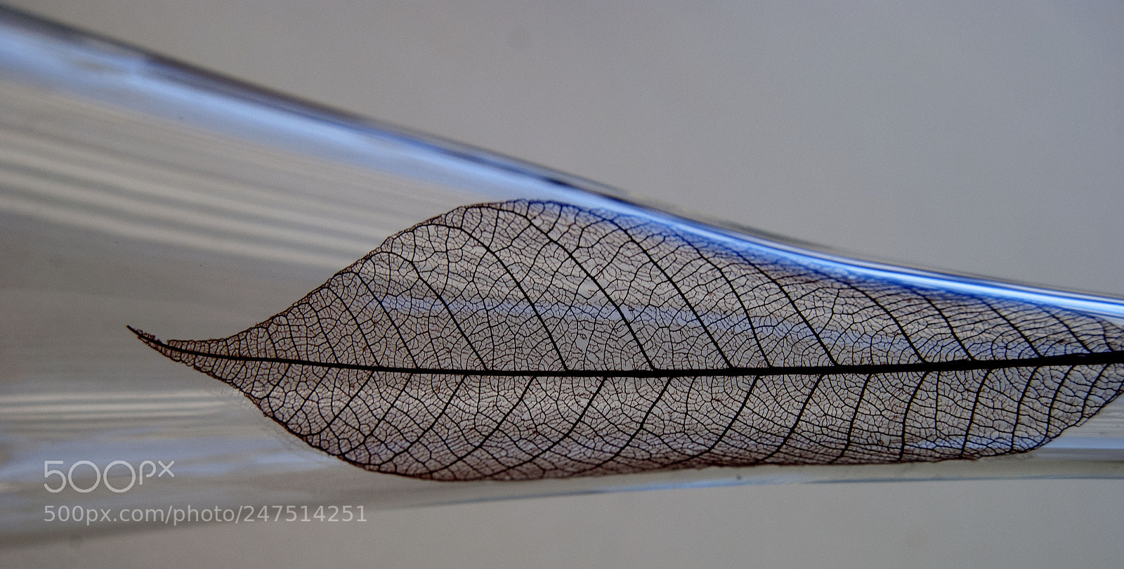 Nikon D3000 sample photo. Untitled photography
