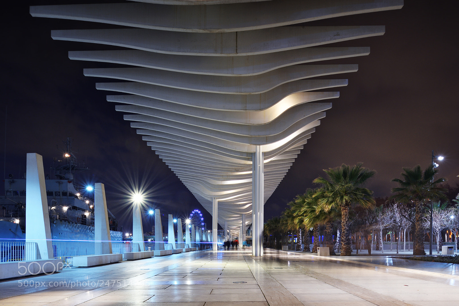 Nikon D810 sample photo. The marina walkway photography