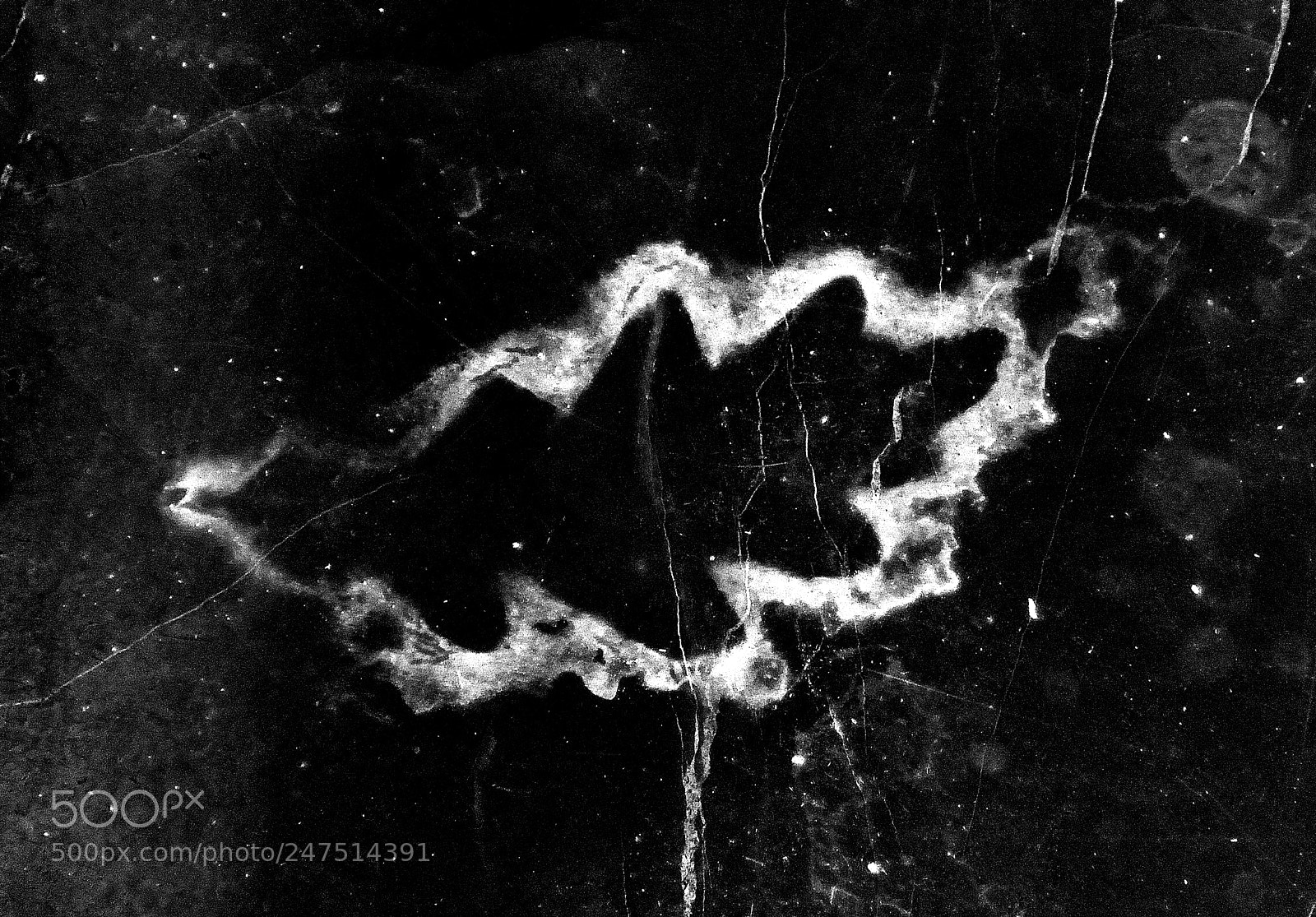 Nikon 1 V1 sample photo. Leaf... photography