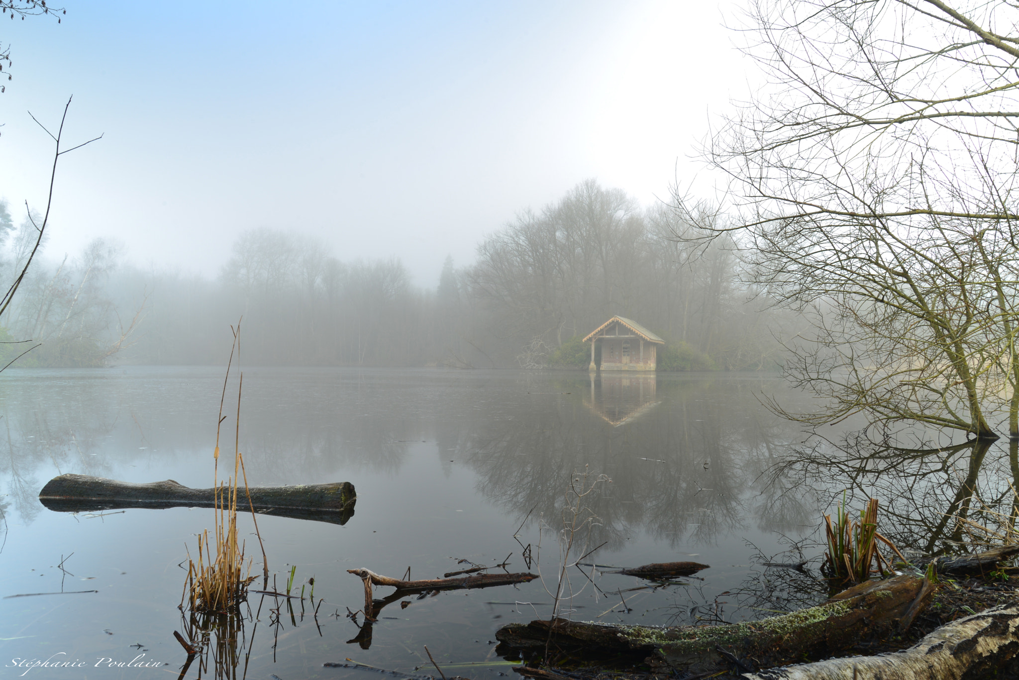 Nikon D610 sample photo. Un peu de nature et de bon sens photography