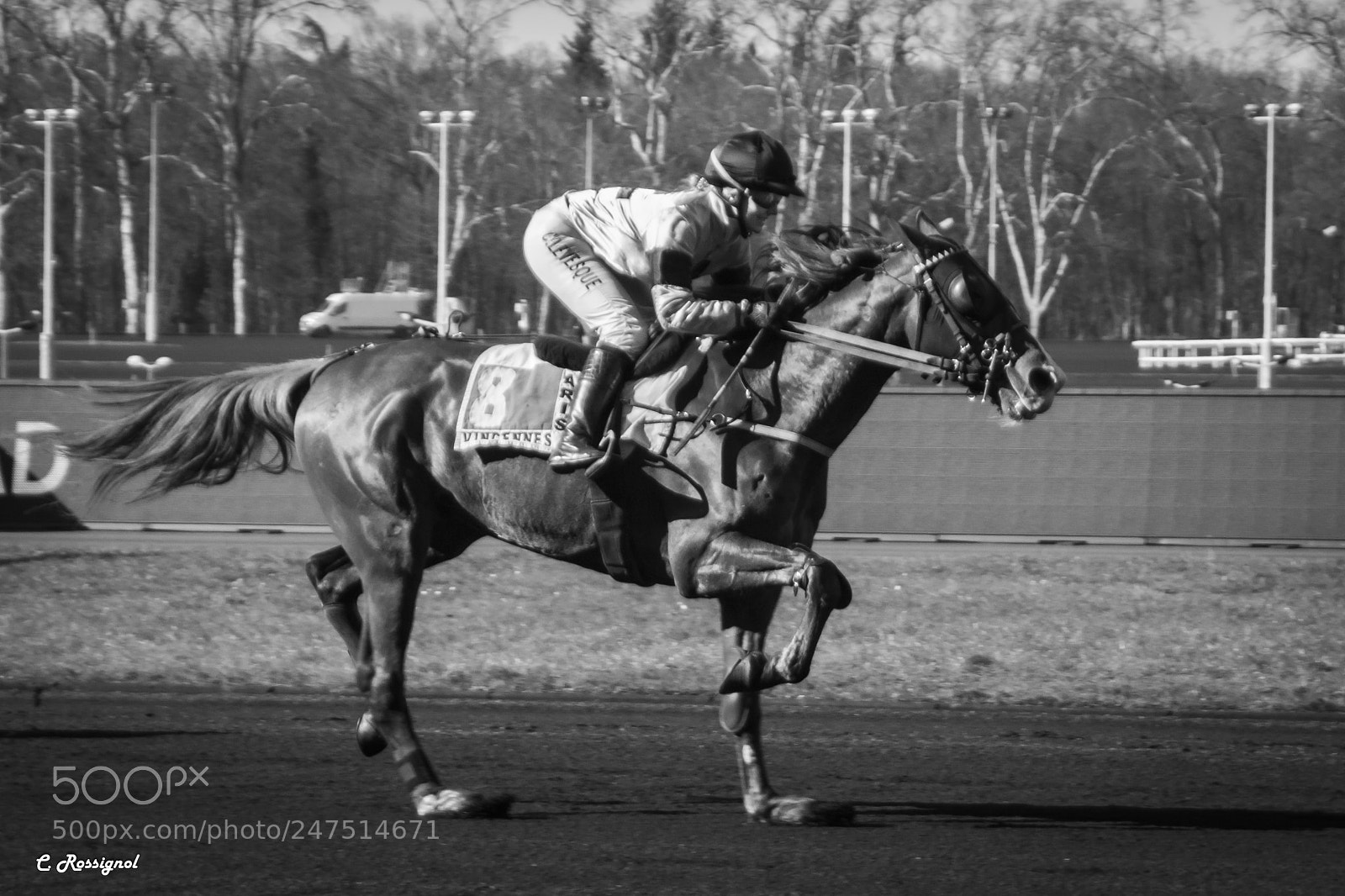 Sony SLT-A65 (SLT-A65V) sample photo. Horse race - vincennes photography