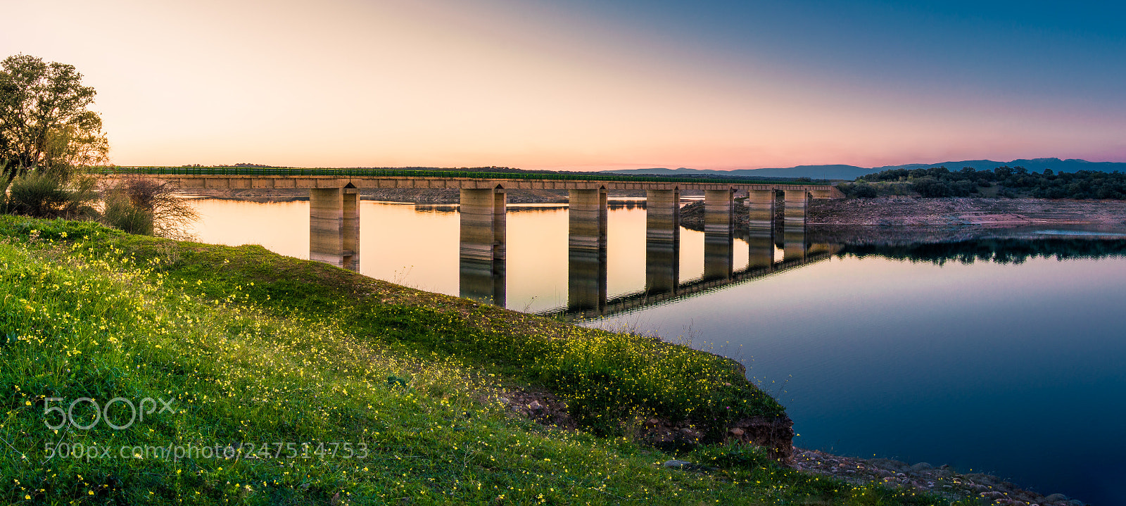 Nikon D3200 sample photo. Modern bridge photography