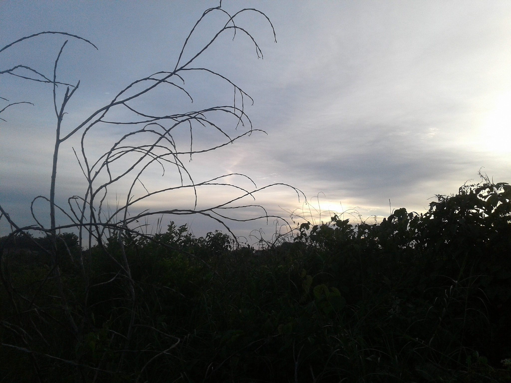 Samsung Galaxy J1 Ace sample photo. Nice sunset photography