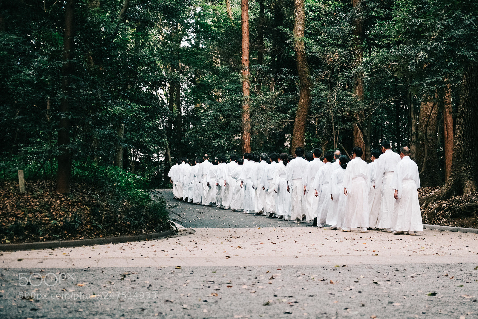 Fujifilm X-T2 sample photo. Marching monks photography