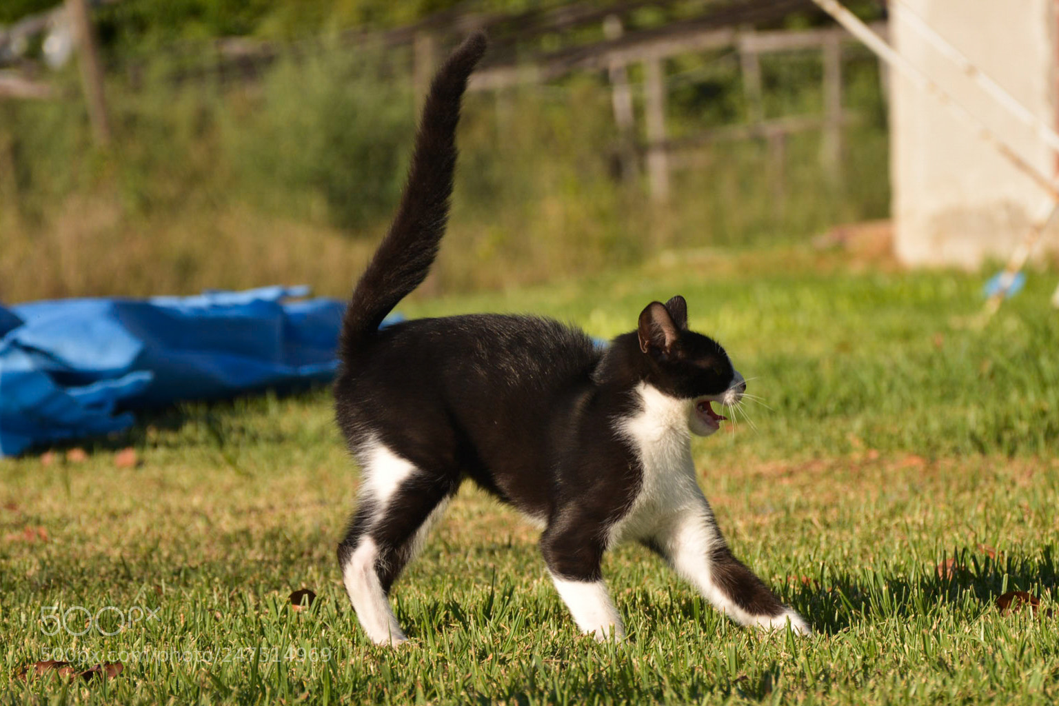 Nikon D7100 sample photo. Wooooo! photography