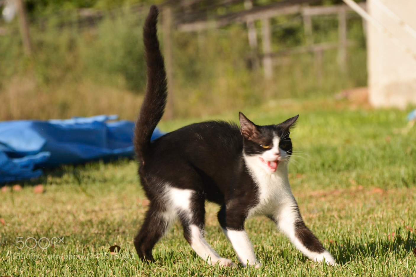 Nikon D7100 sample photo. Yeeeaaaa! photography