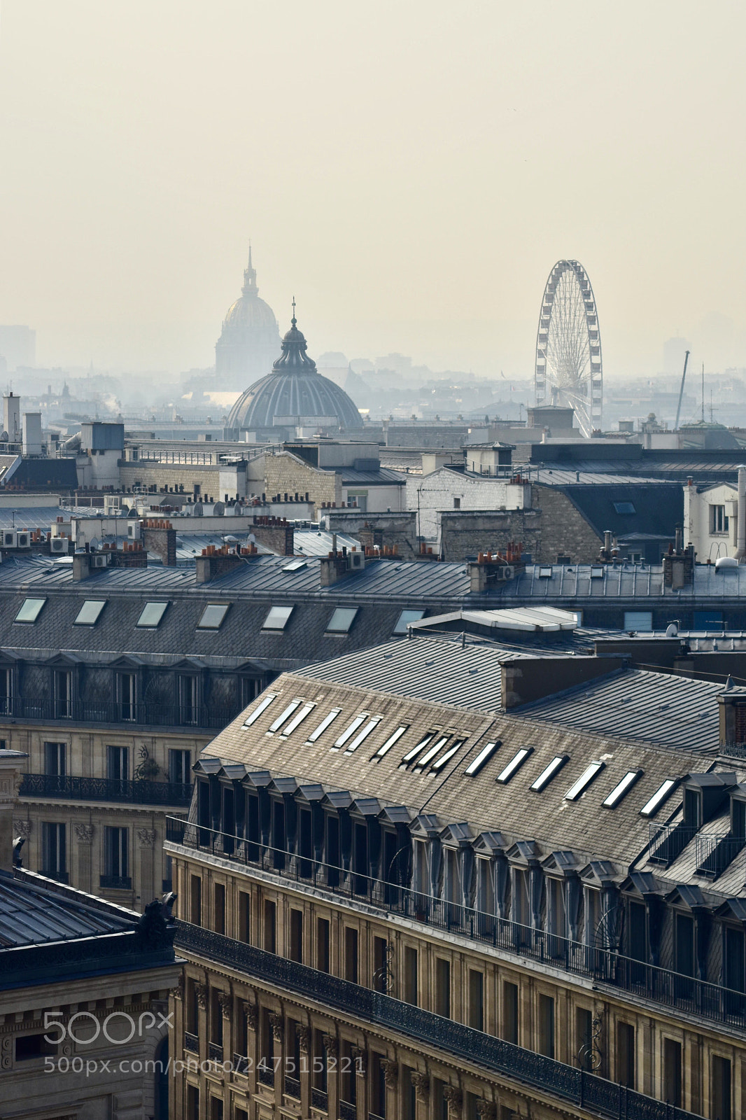 Nikon D5500 sample photo. Pr t pour l photography