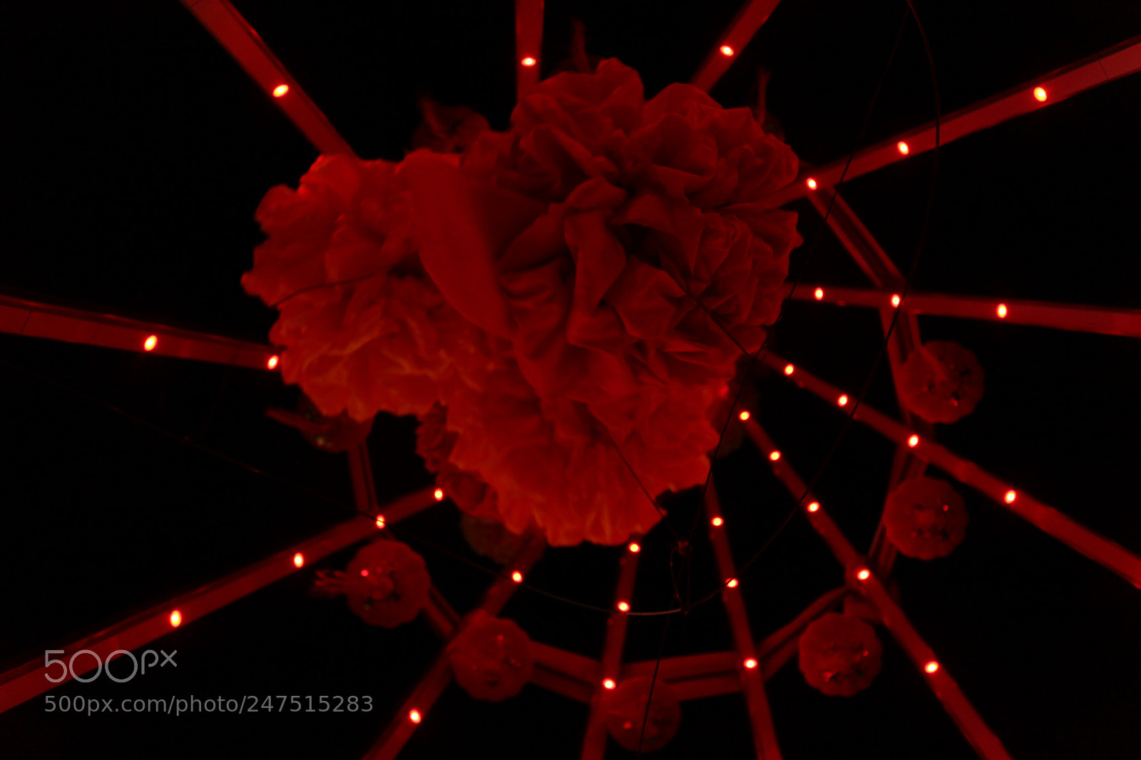 Canon EOS 700D (EOS Rebel T5i / EOS Kiss X7i) sample photo. Red twirl photography
