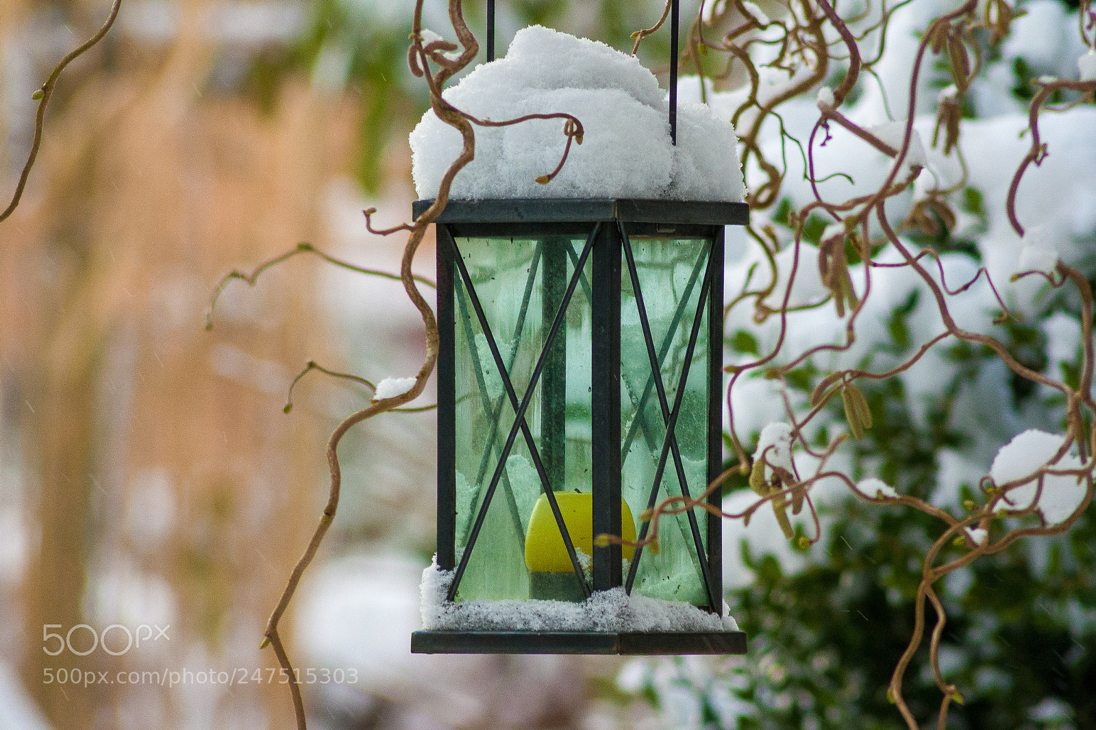 Canon EOS 1000D (EOS Digital Rebel XS / EOS Kiss F) sample photo. Winter is back photography
