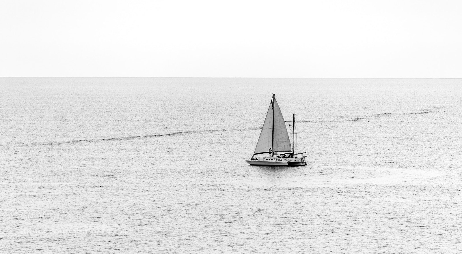 Nikon D500 sample photo. Sailing the ocean photography