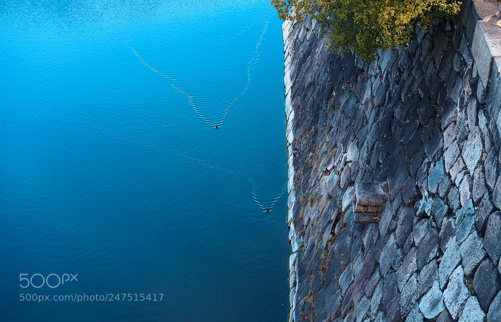 Sony a7 II sample photo. Wave blue photography