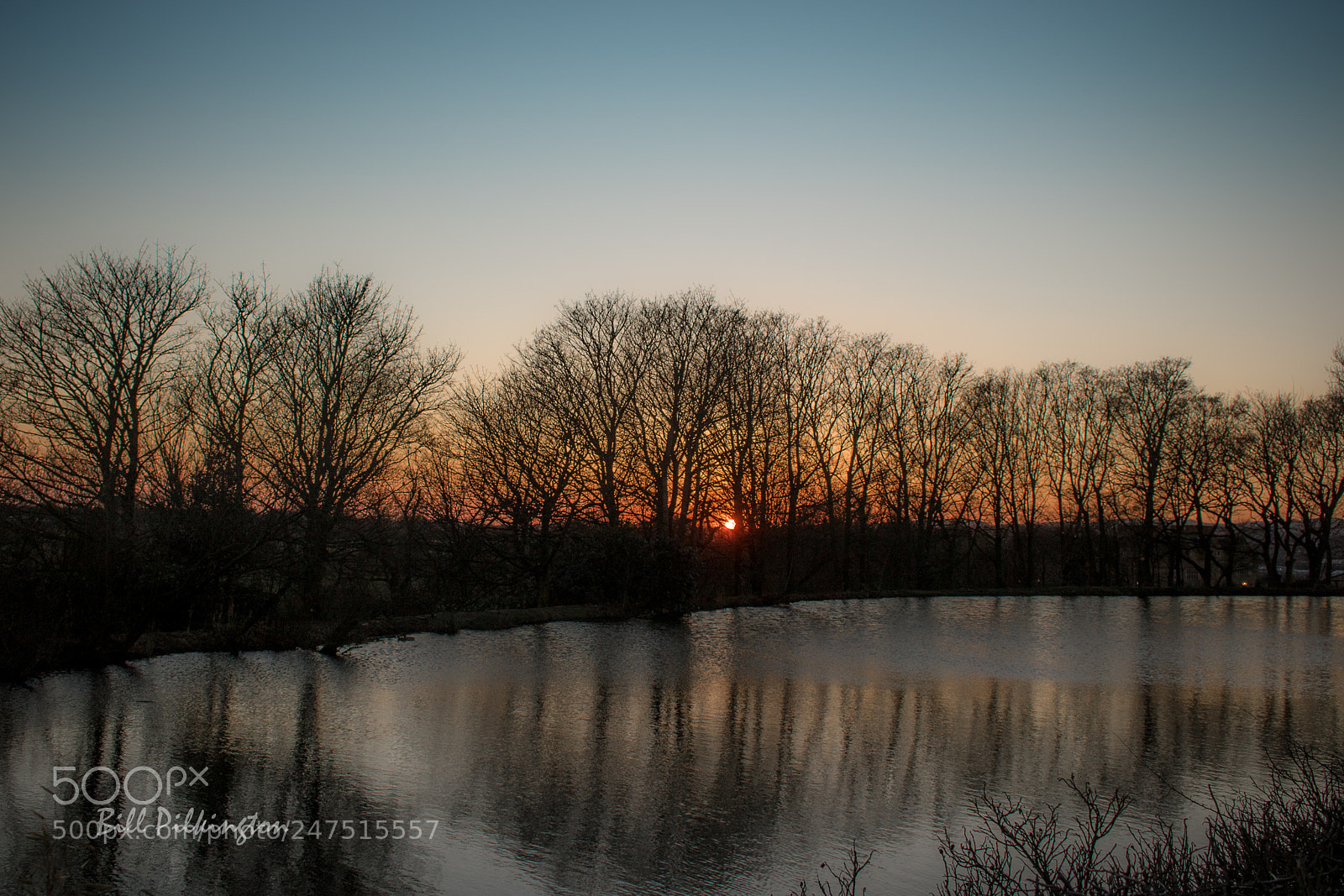 Canon EOS 750D (EOS Rebel T6i / EOS Kiss X8i) sample photo. Sunset behind the trees photography