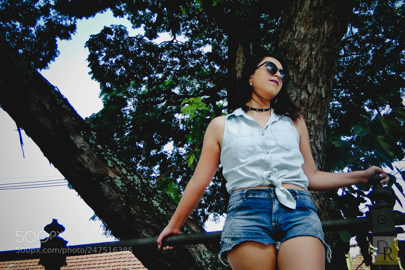 Sony Cyber-shot DSC-HX1 sample photo. Leve photography