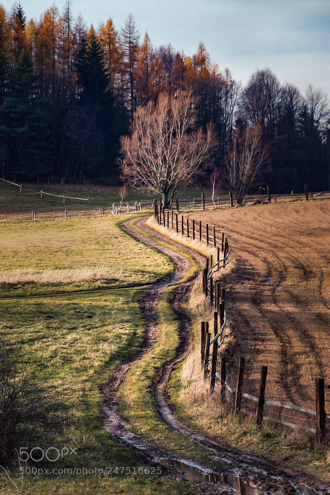 Nikon D3100 sample photo. Village lane photography