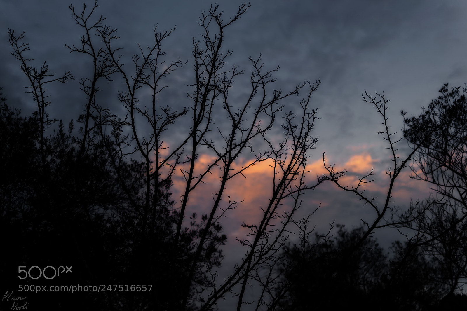 Nikon D3100 sample photo. Nature colors photography