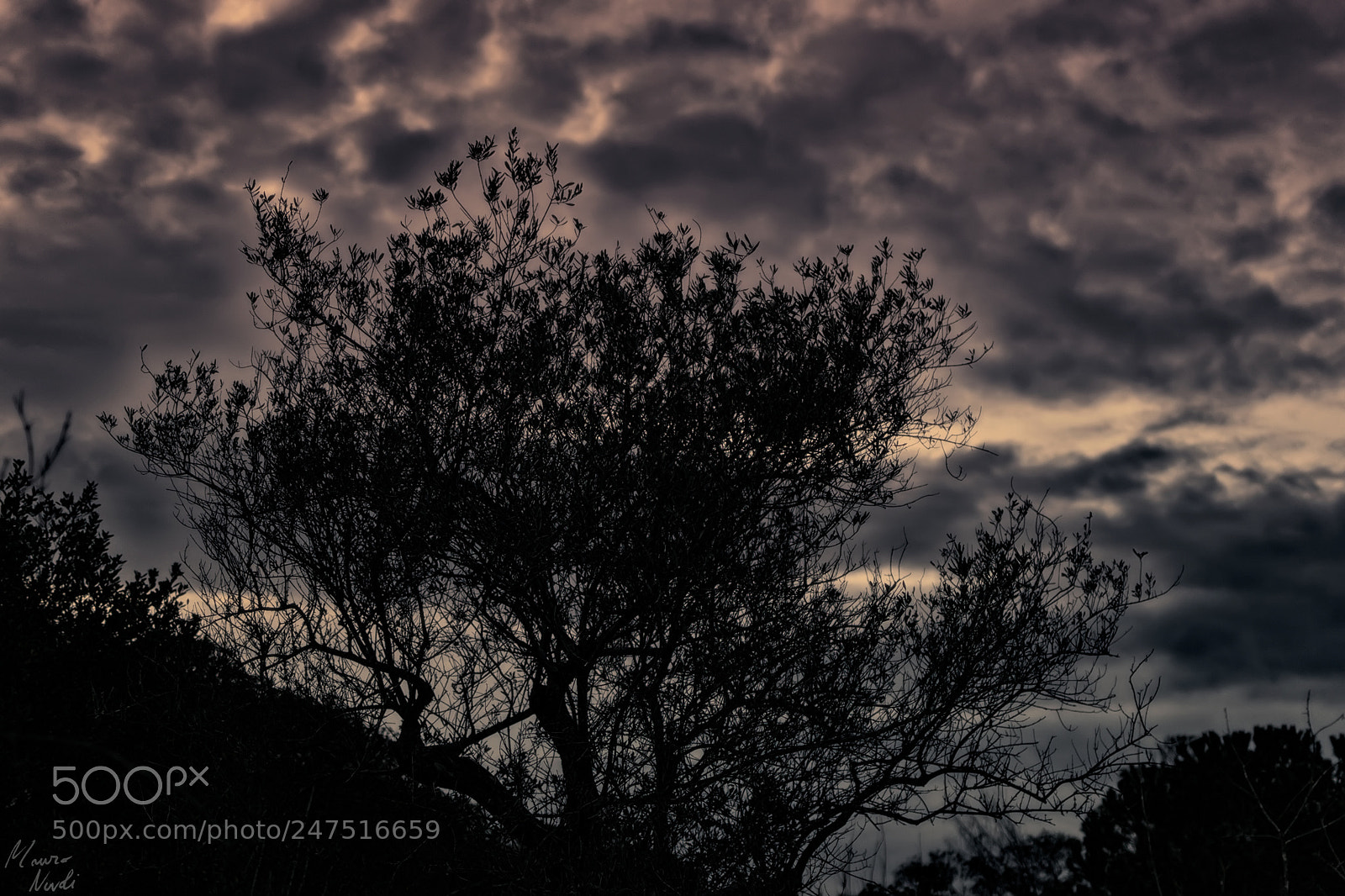 Nikon D3100 sample photo. Nature colors photography