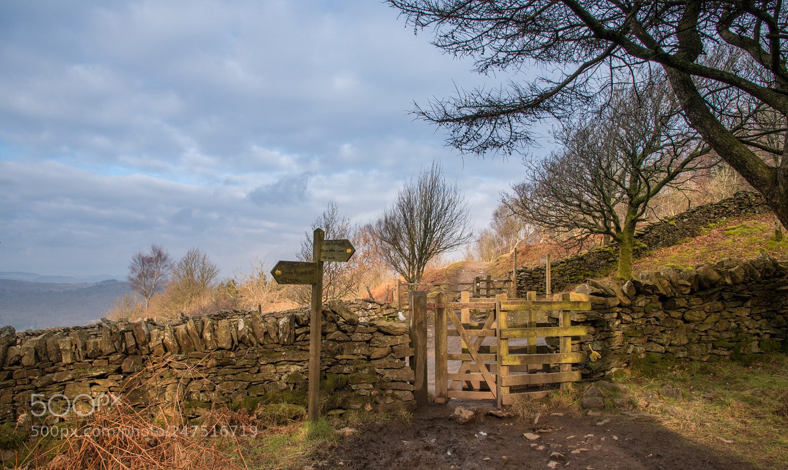 Nikon D850 sample photo. Gummers how path photography