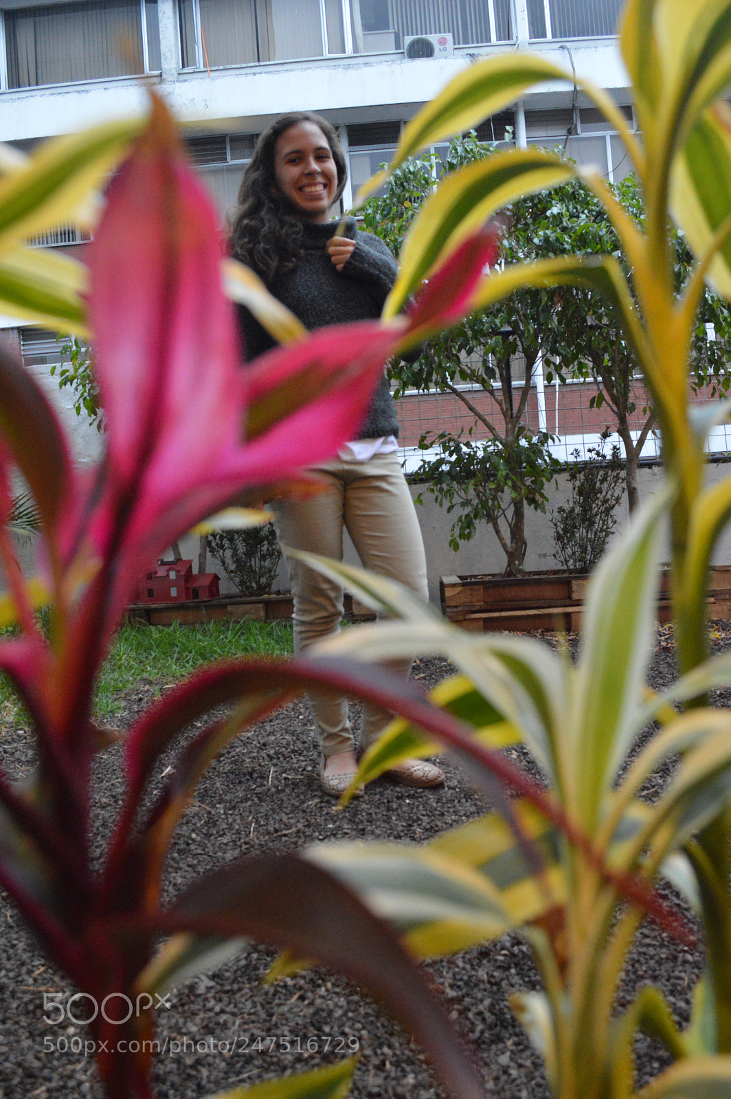 Nikon D3200 sample photo. Dsc photography