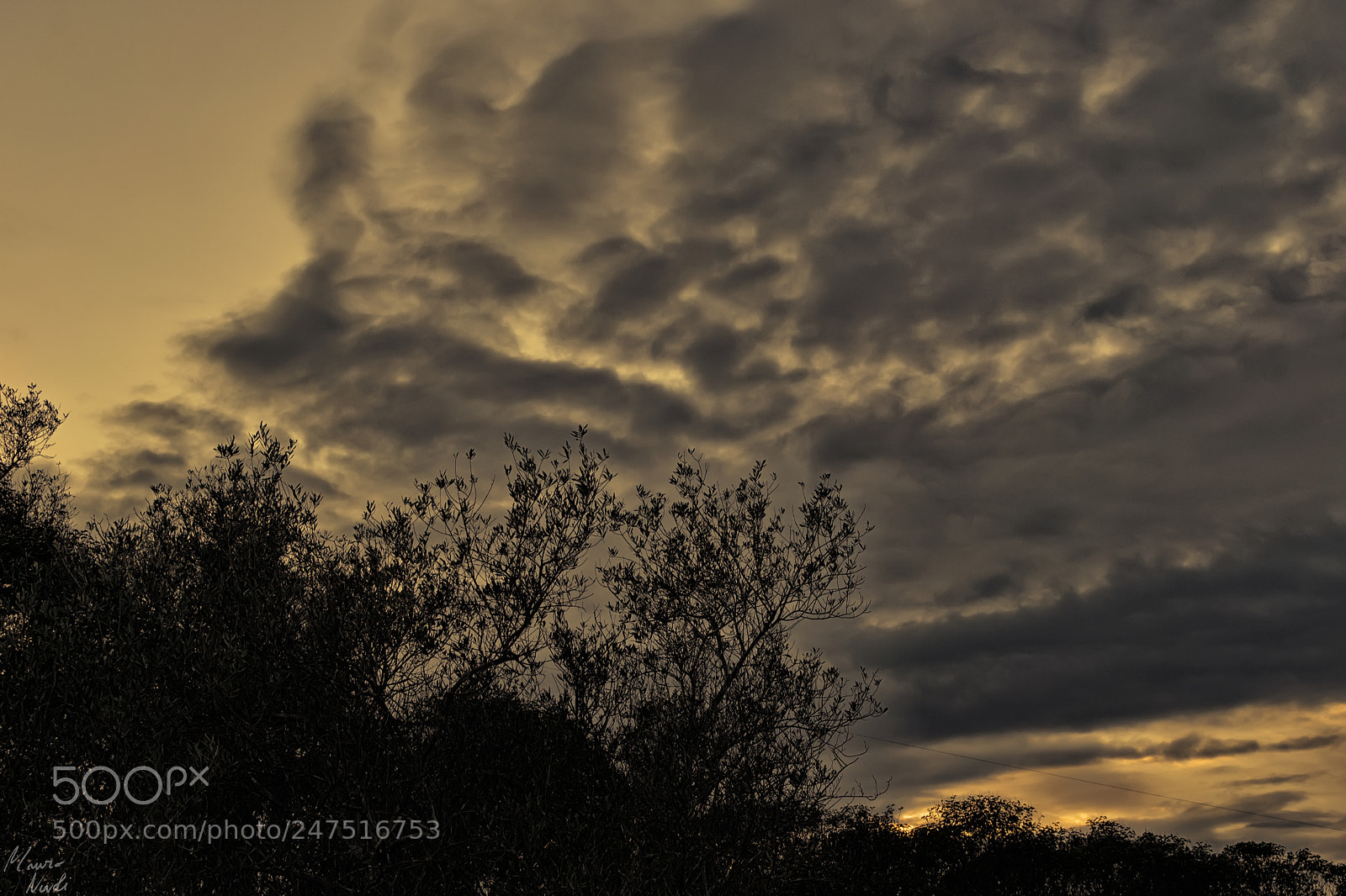Nikon D3100 sample photo. Nature colors photography
