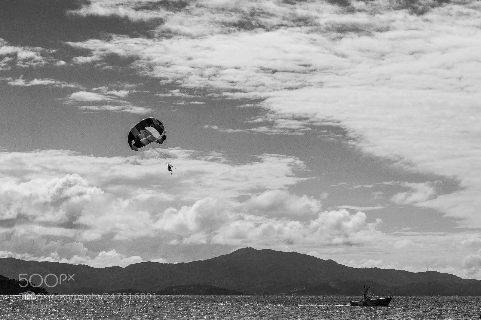 Nikon D700 sample photo. Untitled photography