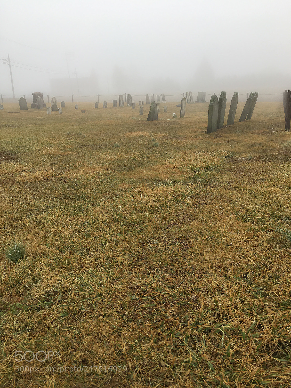 Apple iPhone 6s sample photo. Spooky photography