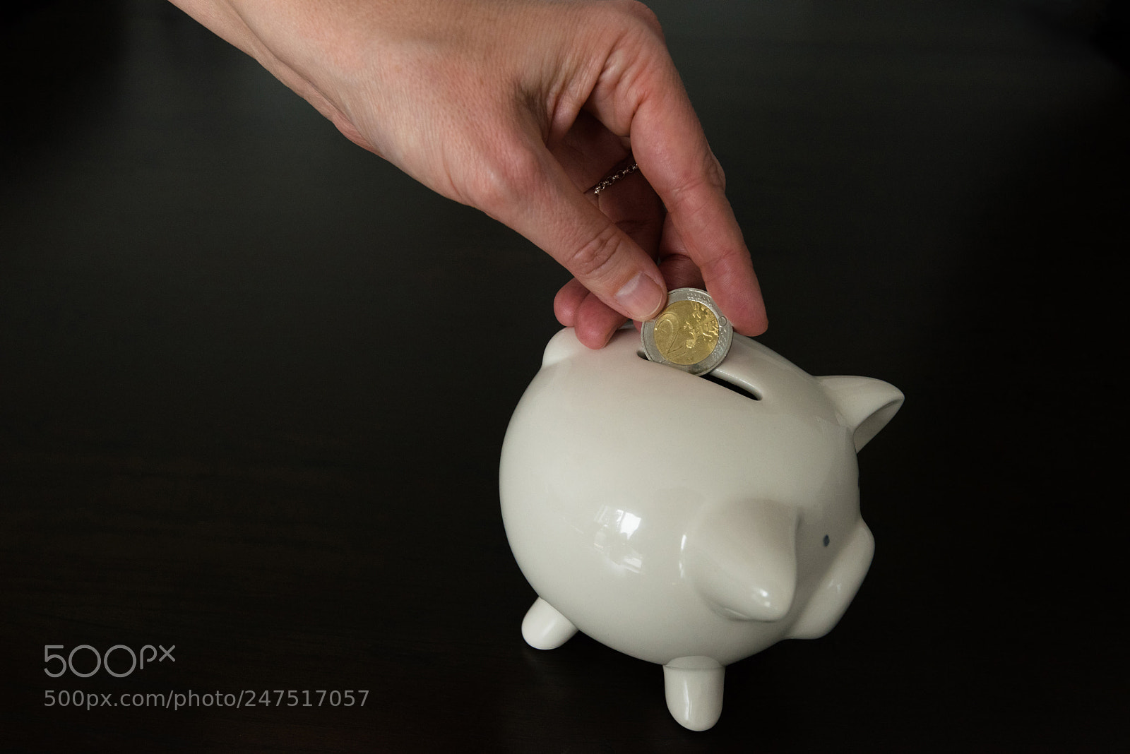 Nikon D810 sample photo. Woman putting two euro photography