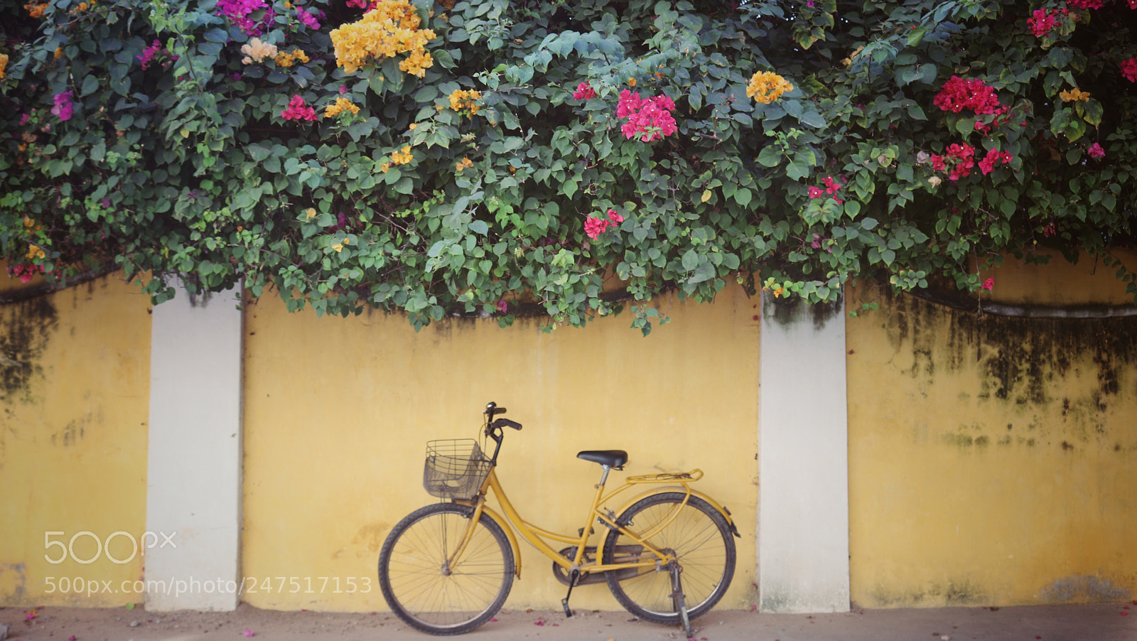 Canon EOS 80D sample photo. Streets of pondicherry photography