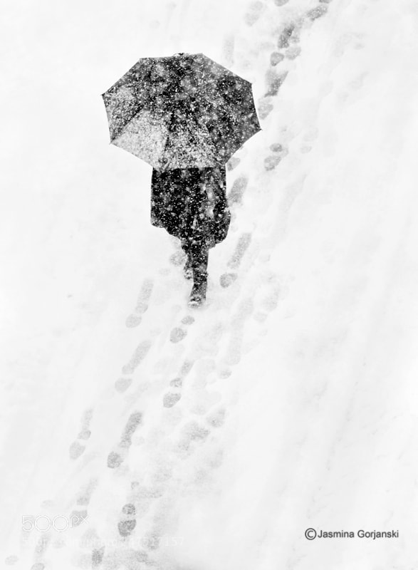 Olympus OM-D E-M1 Mark II sample photo. It's snowing photography