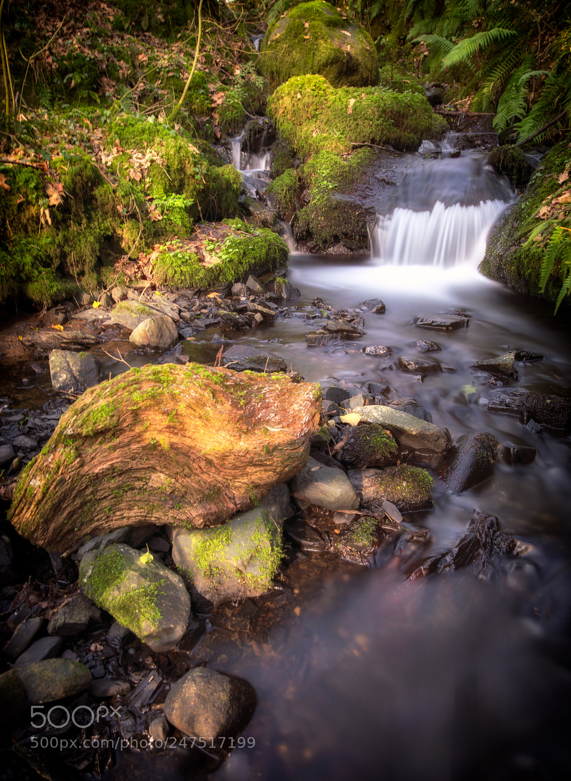 Nikon D850 sample photo. Newland beck photography