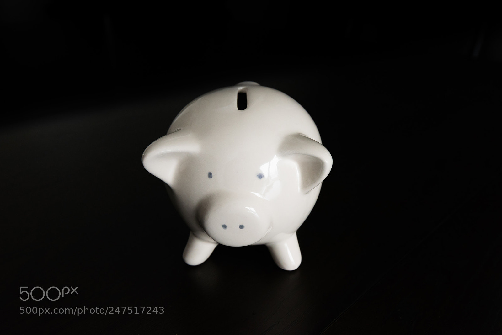 Nikon D810 sample photo. Piggy bank with room photography