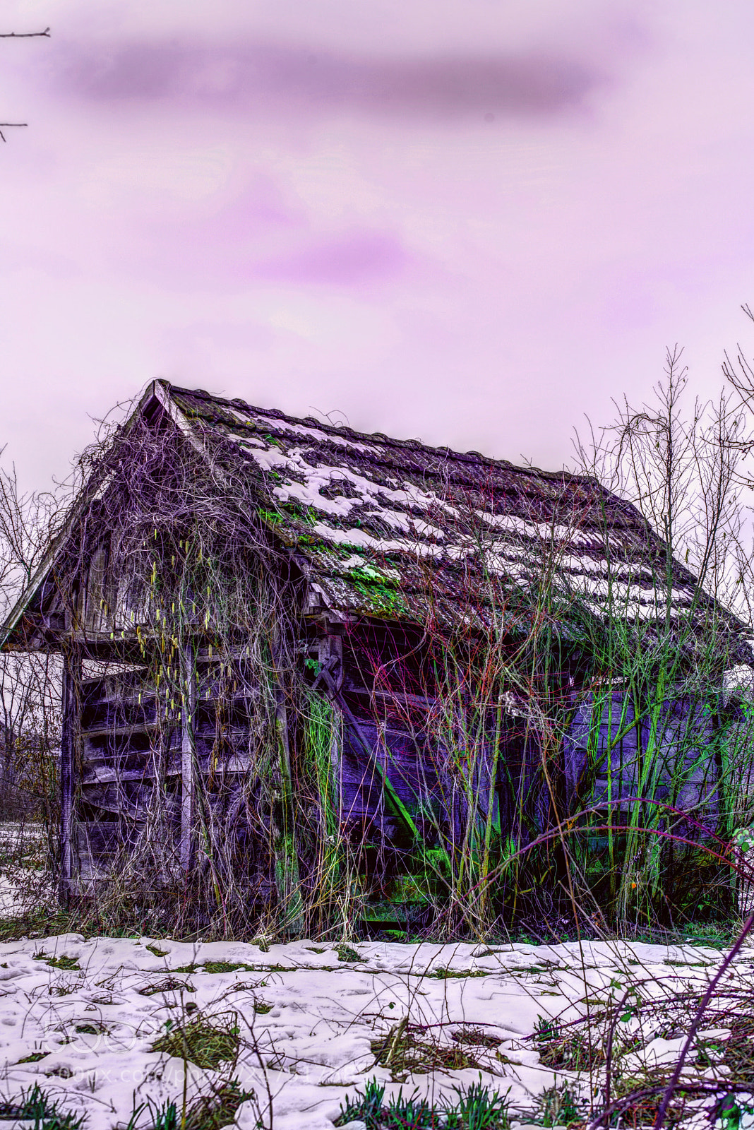 Nikon D600 sample photo. Old barn ,from child photography