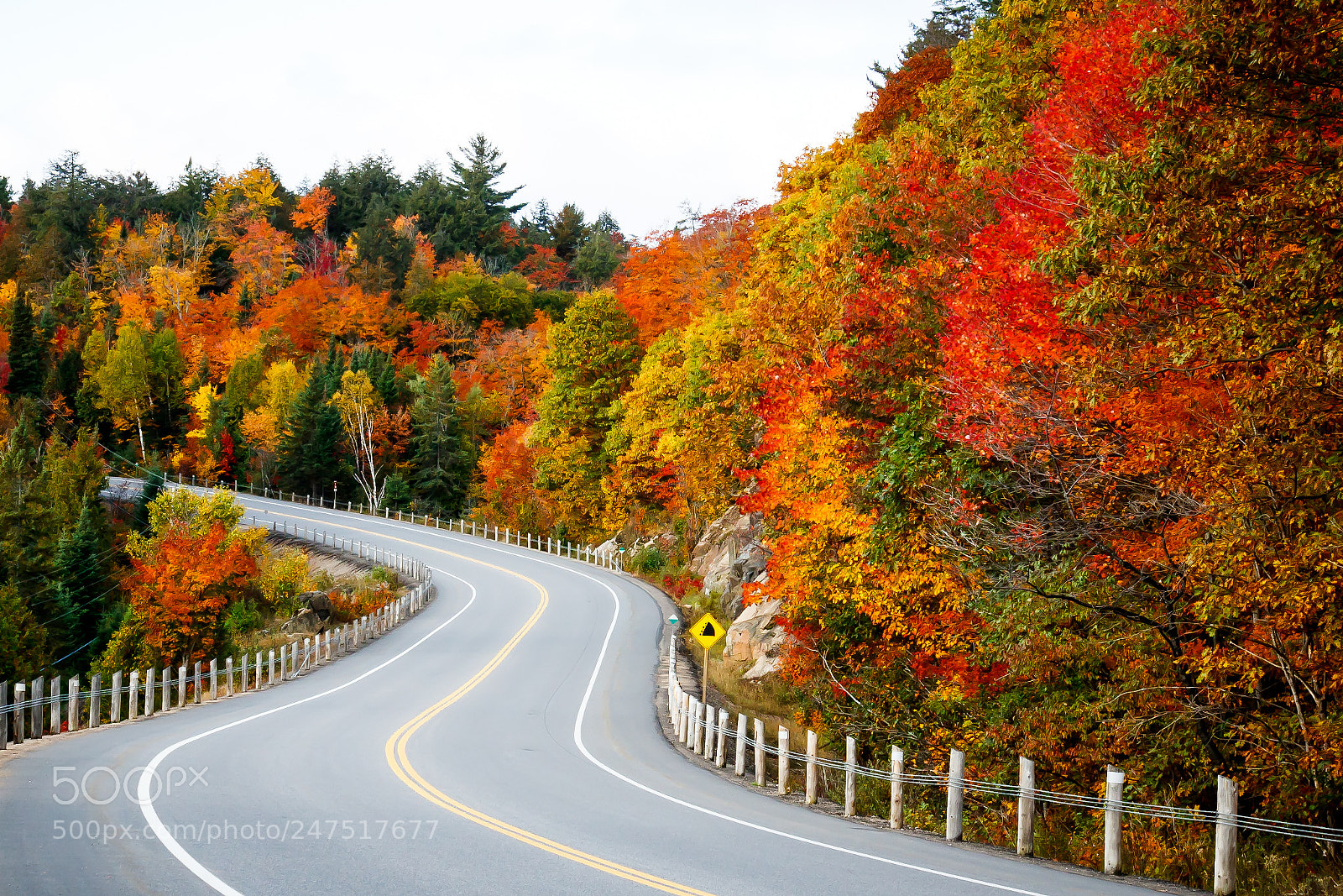 Canon EOS 760D (EOS Rebel T6s / EOS 8000D) sample photo. Fall road photography