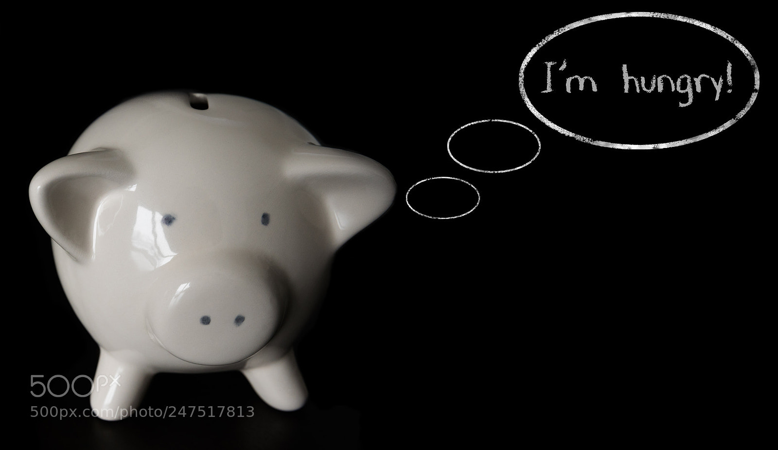 Nikon D810 sample photo. Piggy bank with thought photography